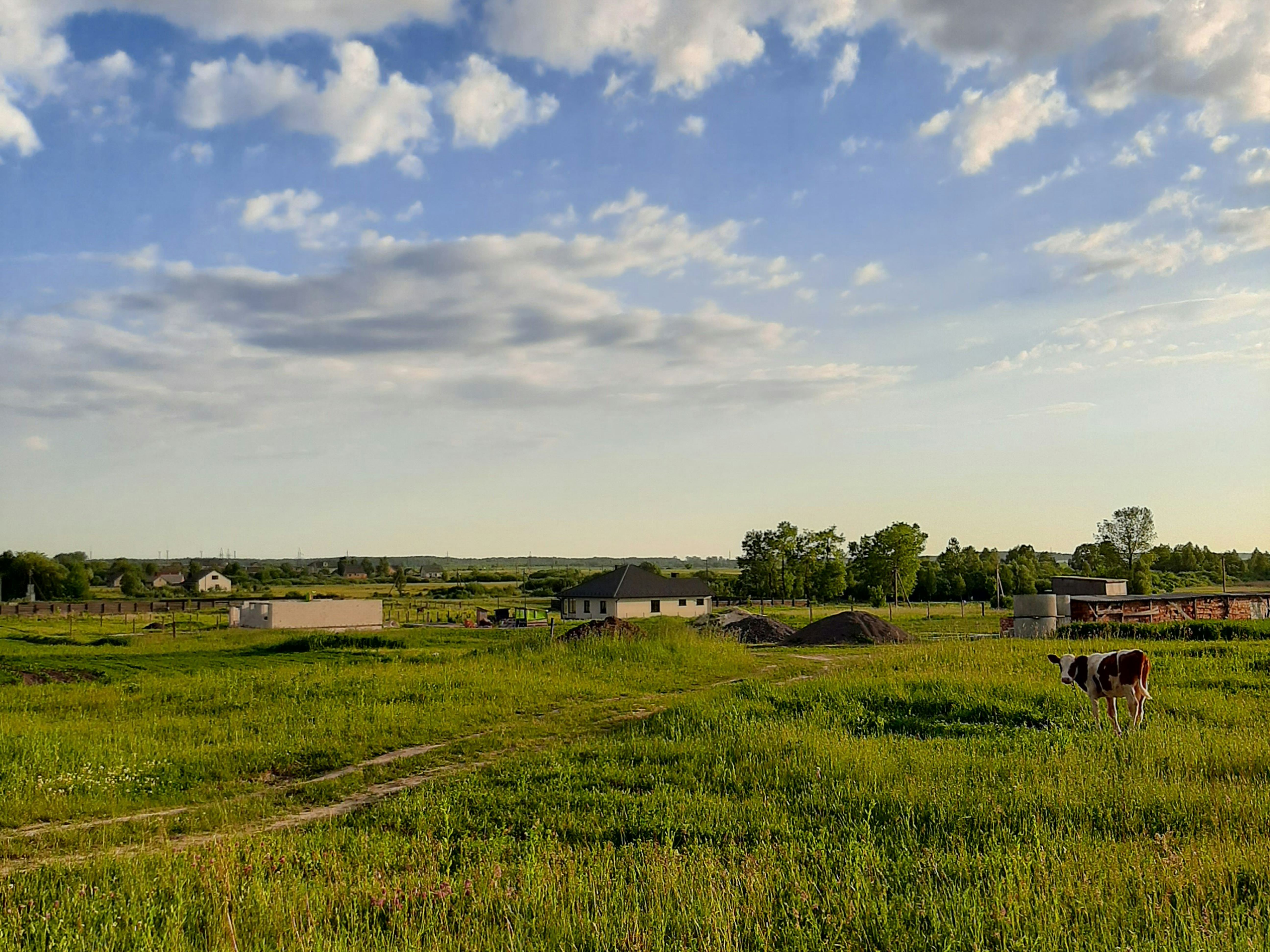 Dynamic Content Image